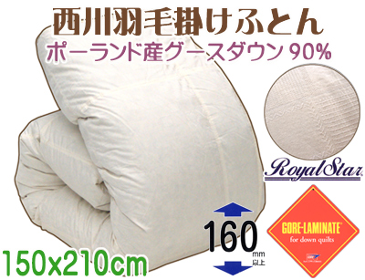 400x307-2011100600018