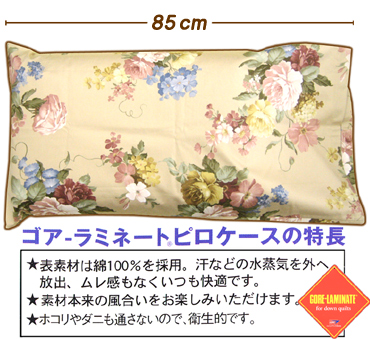 370x339-2010041700001