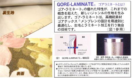 460x273-2010041700002
